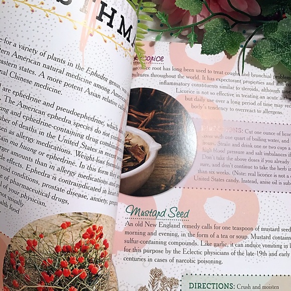 Books - Picture 6 of 8